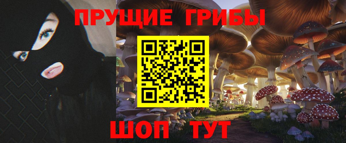 Псилоцибиновые грибы Psilocybine cubensis Уварово